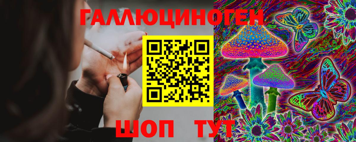 Псилоцибиновые грибы Psilocybine cubensis Советский
